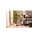 Erhan Flowers Yapay Areka Ağacı Palmiye Ağacı Salon Bitkisi Yapay Areka 130 cm 20 Yaprak Beyaz Küre Saksı