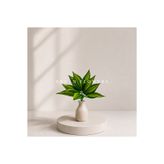 ERHAN FLOWERS YAPAY SARI YEŞİL CROTON CALATHEA 48 CM - DEKORATİF VAZO İÇİ YAPRAK DALI (SAKSISIZ)