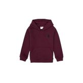 Erkek Çocuk Bordo Basic Kapüşonlu Sweatshirt 50313980 VR177