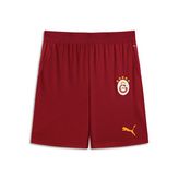 Erkek Galatasaray 26/27 Replica Şort