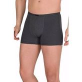 Erkek Modal Boxer Short Füme 4488B