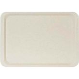 Erkoplas ERKO0107 Polyester 37x53 cm Anti Bakteriyel Bej Servis Tepsisi