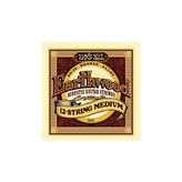 Ernie Ball P02012 12 Telli Akustik Gitar Teli