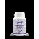 Ersağ Astragalus Çin Geveni