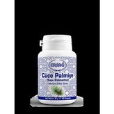 Ersağ Cüce Palmiye (saw Palmetto)