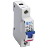 Esem E 103 C Tipi 1P 3 kA 25 A Otomatik Sigorta
