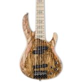 ESP Ltd RB-1005SM Bass Gitar