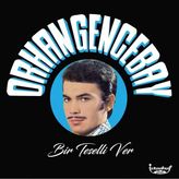 Esplendor Orhan Gencebay Bir Teselli Ver Plak Lp - Altın