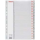 Esselte A4 1-31 Rakam Dosya Ayracı