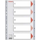Esselte SLT-100103 1-5 Rakamlı Seperatör