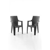 Evdemo Efes 2'li Rattan Sandalye Siyah