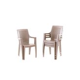 Evdemo Efes 4'lü Rattan Sandalye Cappuccino