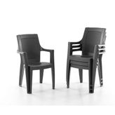 Evdemo Efes 4'lü Rattan Sandalye Siyah