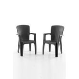 Evdemo Side 2'li Rattan Sandalye Siyah