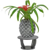 Evene Ahşap Ayaklı Beton Saksı Büyük Boy 1 Adet Ananas Model - Gümüş