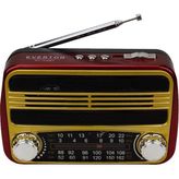 Everton RT 310 Radyo