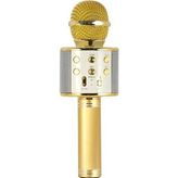 Evervox EVR KRK 02 Gold Karaoke Mikrofon