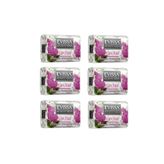 Evissa Orchid-Orkide Sabun 75Gr X 6