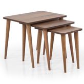 Evnesya Basic Ceviz Zigon Sehpa