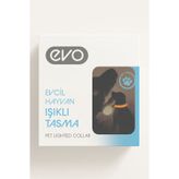 Evo Işıklı Köpek Tasması