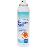 Evoderm 150 ml Panthnenol Foam Nemlendirici Köpük