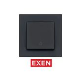 Exen Karell Füme Light Anahtarı