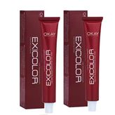 Exicolor Gümüş Rüya 2x60 ml Tüp Saç Boyası