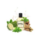 Eyfel Parfüm Eyfel Erkek Parfüm M27 100 ML