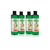 Farmasi 4x500 ml Botanics Herbal Mix Shampoo