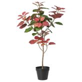 FEJKA, yapay bitki, kırmızı, 12 cm