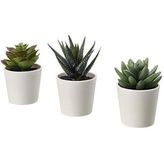Fejka Yapay Saksı Bitkisi Saksılı Iç Mekan Dış Mekan Etli / 3'lü Paket Boyutu 2 ¼ " 3'lü Paket 203.953.31
