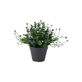 FEJKA yeşil 12 cm yapay bitki - 80613251 | IKEA 12 cm yapay bitki