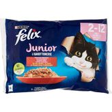 Felix Junior Yavru Yaş Kedi Maması 85GR 4lü - Standart