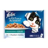 Felix Morina ve Ton Balıklı 100 gr Yetişkin Kedi Maması