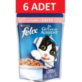 Felix Somon Balıklı Pouch Yaş 6x100 gr Kedi Mama