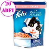 Felix Somonlu Yaş 20x100 gr Kedi Maması
