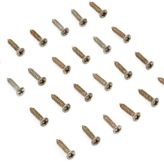Fender Road Worn Pickguard/Control Plate Screws (24 adet)