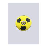 Fenerbahçe UNISEX MİNİ PELUŞ TOP