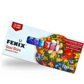 Fenix 12X9ml Tüp Guaj Boya 12'Li