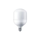 Ferled Led Torch Ampul 30W E-27 Duy 6500K