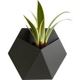 Fibrika Store Modern Altıgen Duvar Saksısı