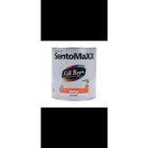 Filli Boya Sentomaxx® Sentetik Astar 2,5L