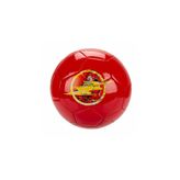 Flash Futbol Topu No. 5