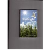 Flashlight Concise Commentary - Based on the International Lesson Series