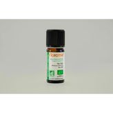 Florame Çay Ağacı 10 ml Yağ
