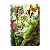 Flynet Art Style A4 80 Yaprak Çizgili PP Kapak Spiralli Defter