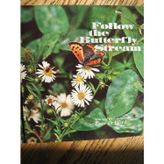 Follow the Butterfly Stream: Lorenz. Boyd