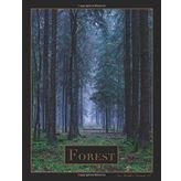 Forest: Journal