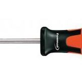 Format 58830030 T 8x 60 mm Torx Tornavida