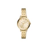 Fossil FBQ3863 Kadın Kol Saati